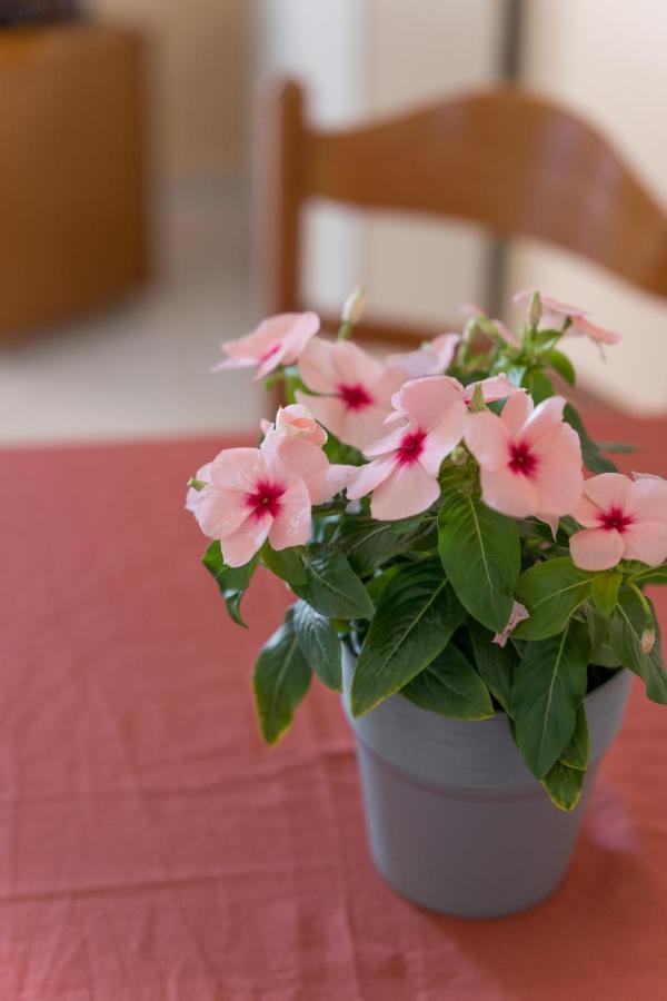 Ammousa Hotel Apartments ลิคชูรี ภายนอก รูปภาพ